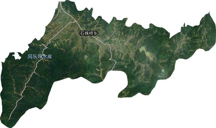 石株桥乡卫星图