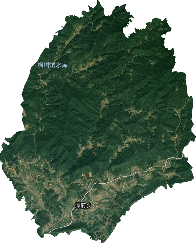 潭府乡卫星图