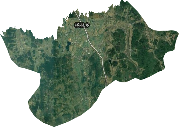 杨林乡卫星图