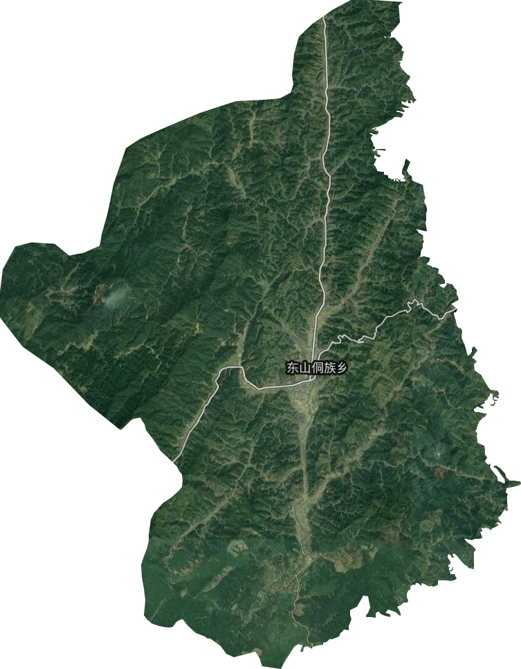 东山侗族乡卫星图