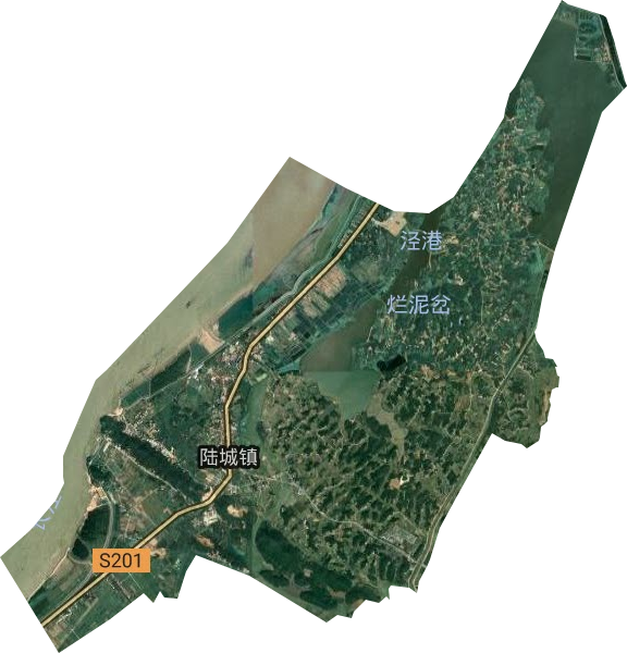 陆城镇卫星图