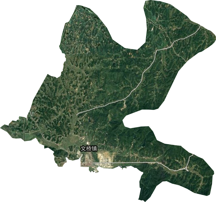 文桥镇卫星图