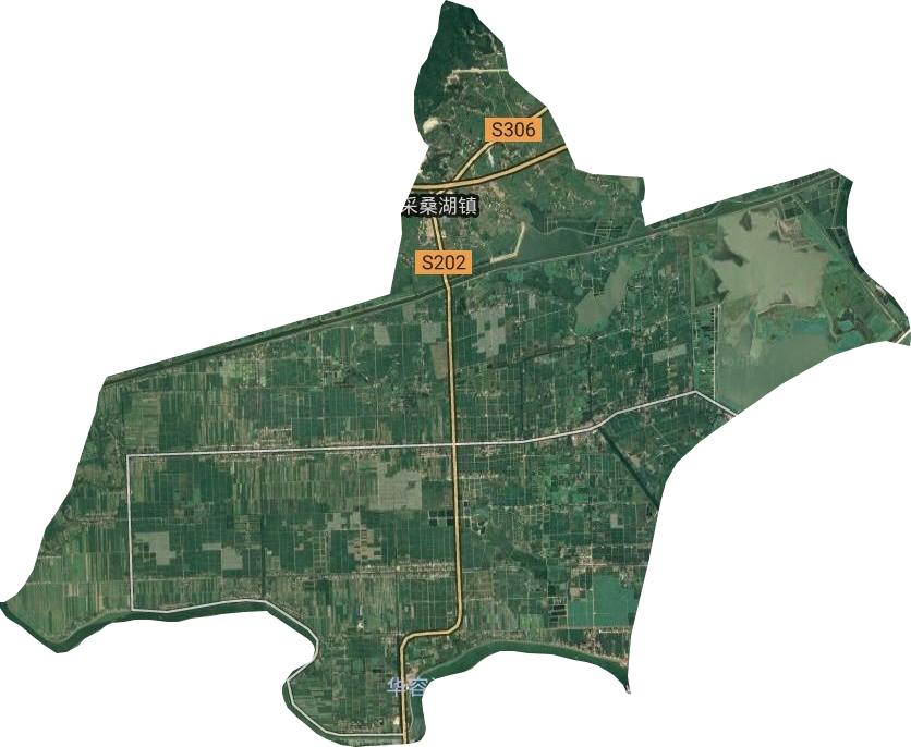 采桑湖镇卫星图