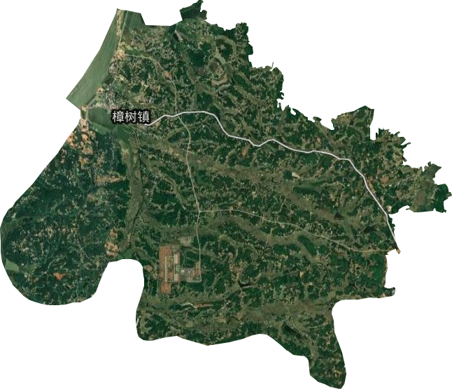 樟树镇卫星图