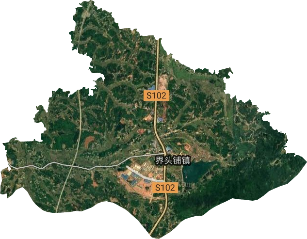 金龙镇卫星图