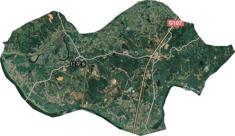 红花乡卫星图