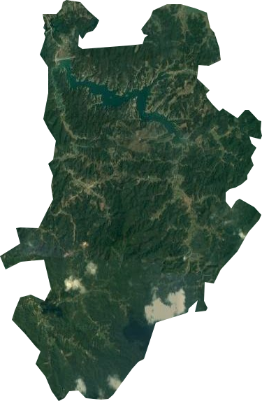 花岩溪林场卫星图