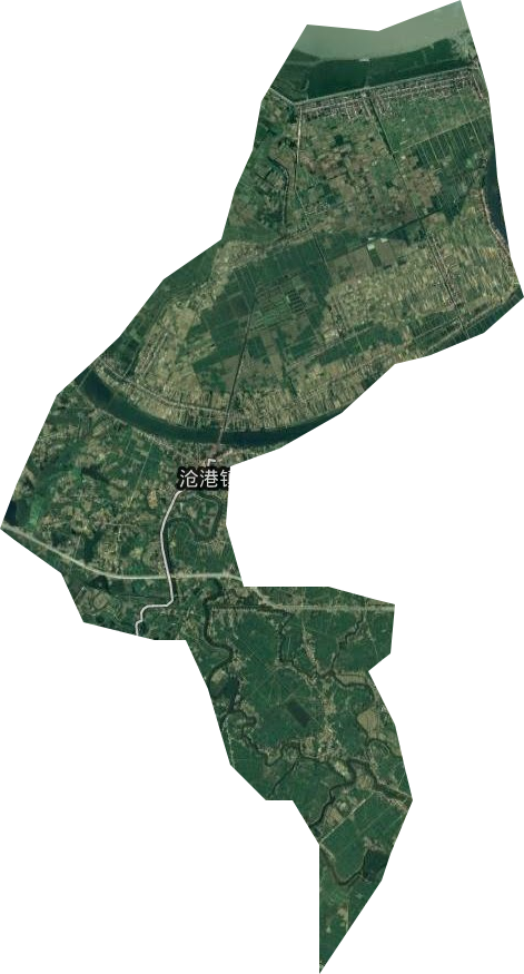 沧港镇卫星图