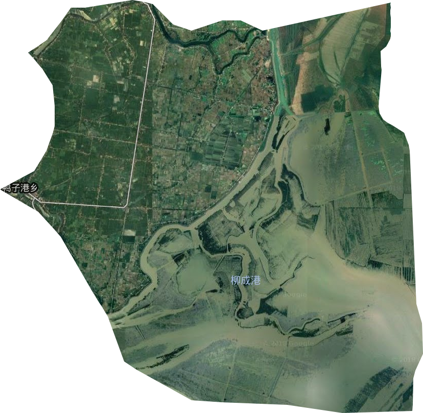 鸭子港乡卫星图