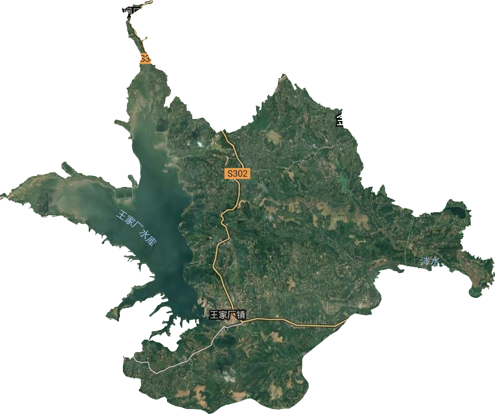 王家厂镇卫星图
