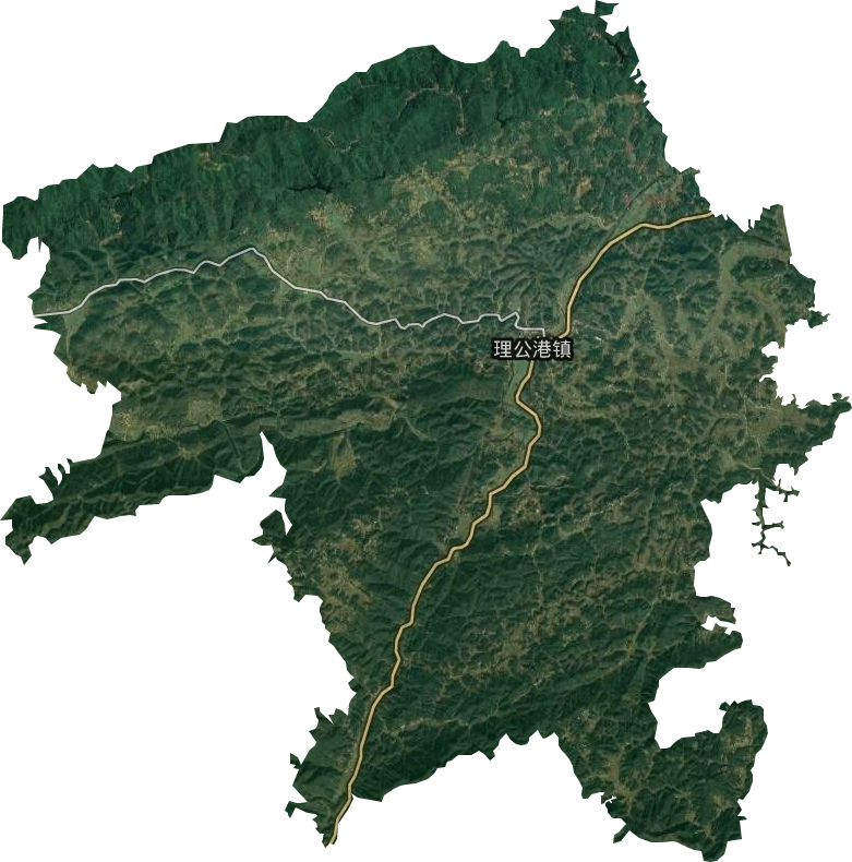 理公港镇卫星图