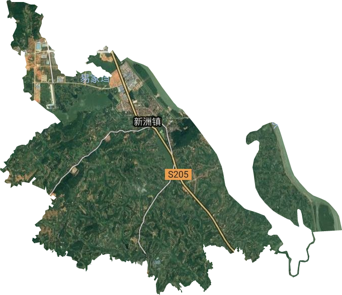 新洲镇卫星图