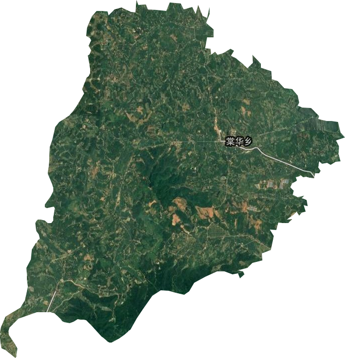 棠华乡卫星图