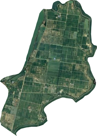涔澹农场卫星图