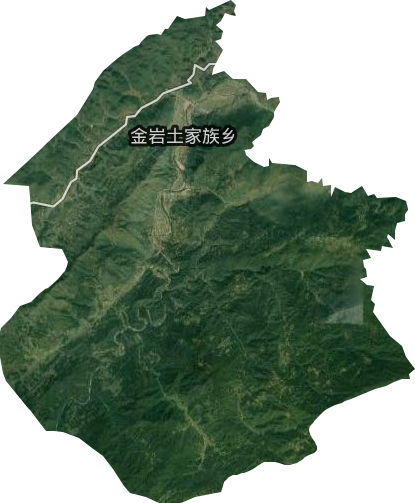 金岩土家族乡卫星图