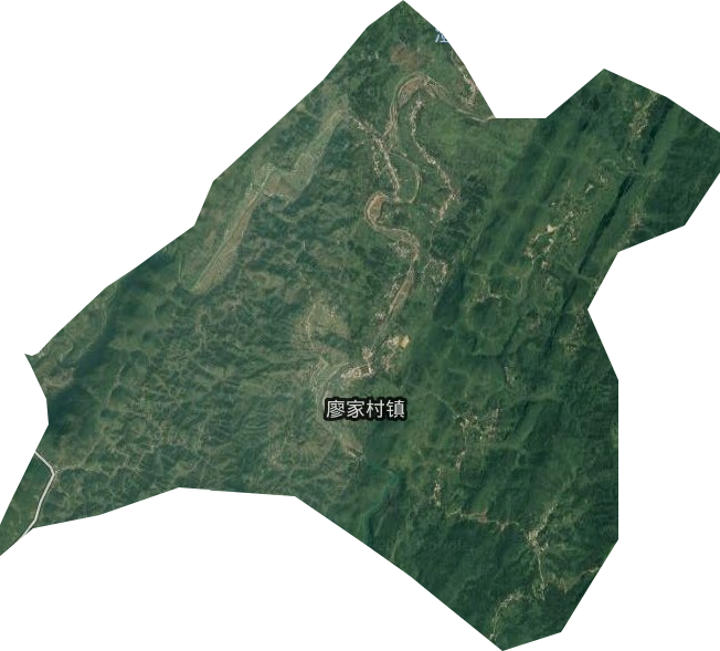 廖家村镇卫星图