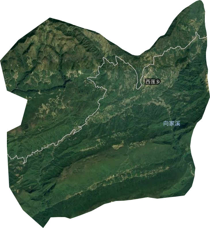 西莲乡卫星图