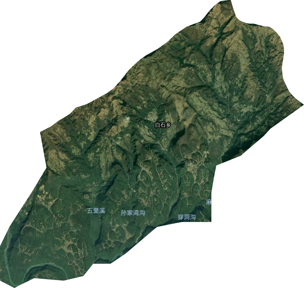 白石乡卫星图