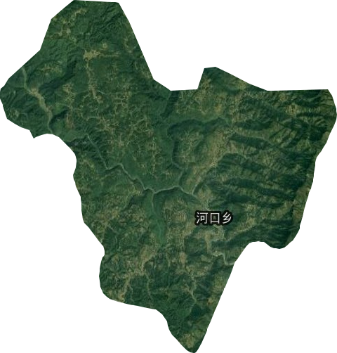 河口乡卫星图