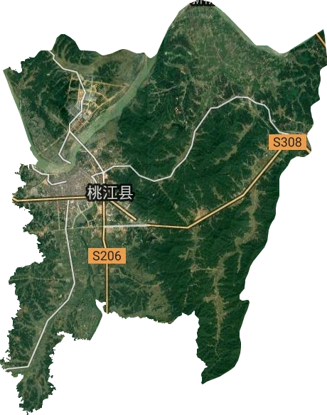 桃花江镇卫星图
