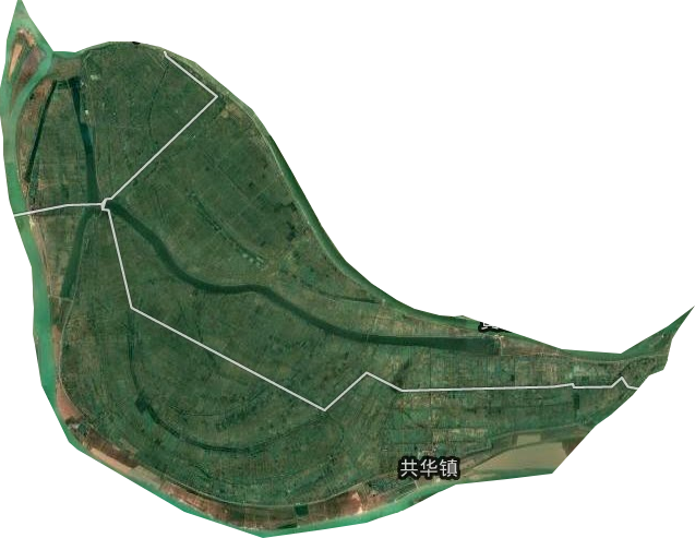 共华镇卫星图