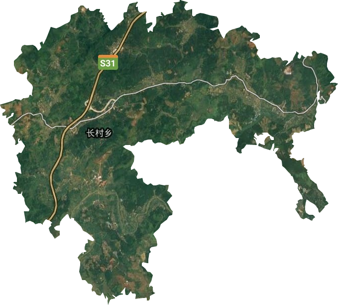 长村乡卫星图