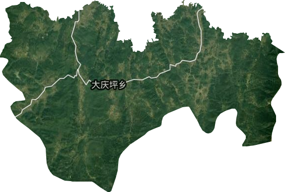 大庆坪乡卫星图