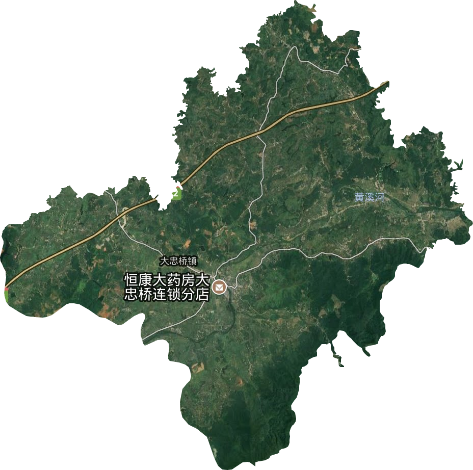 大忠桥镇卫星图