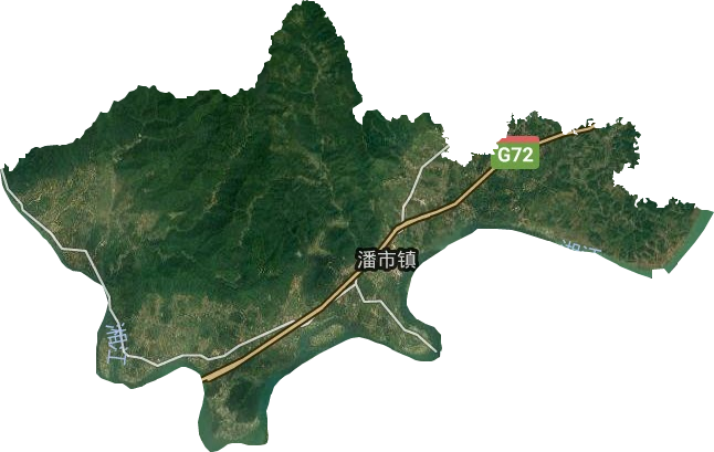 潘市镇卫星图