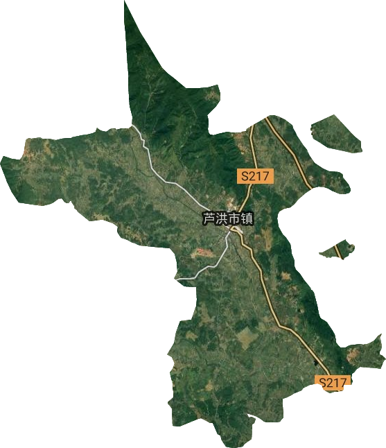 芦洪市镇卫星图