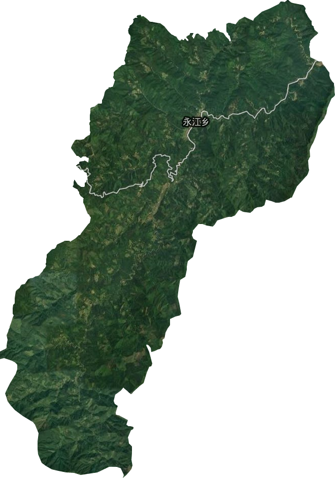 永江乡卫星图