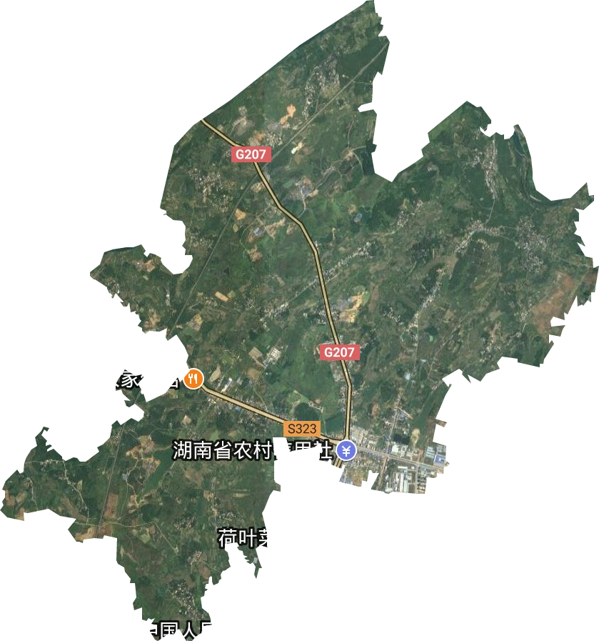 富塘街道卫星图