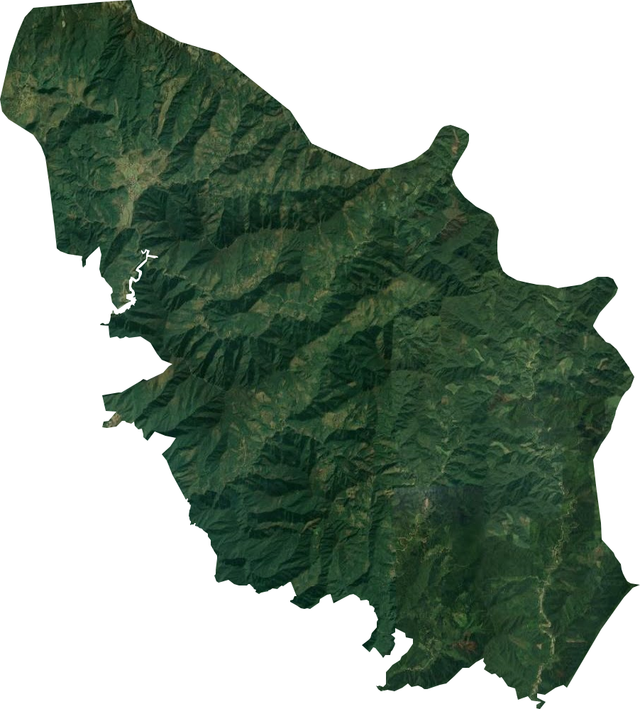 道县桥头林场卫星图