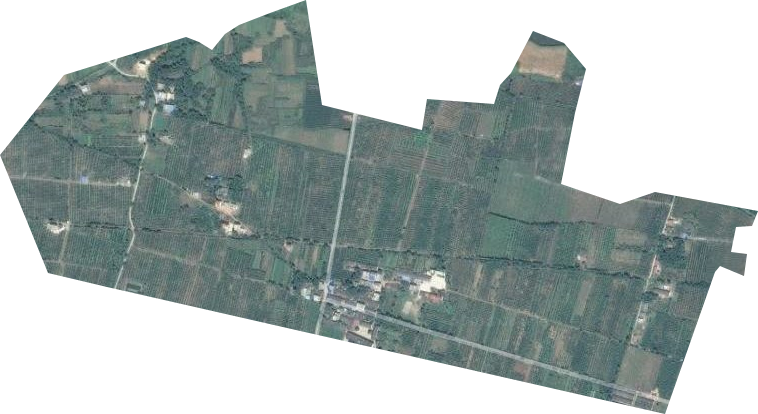 道县大坪铺农场卫星图