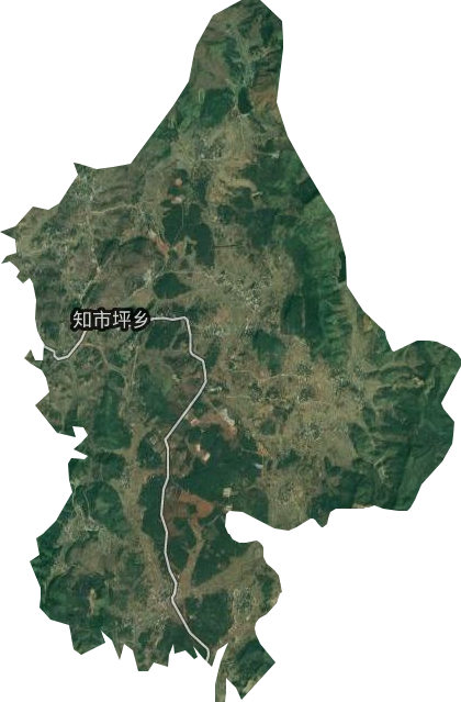 知市坪乡卫星图