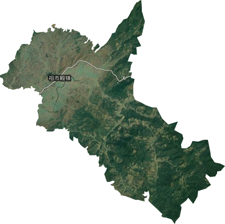 祖市殿镇卫星图