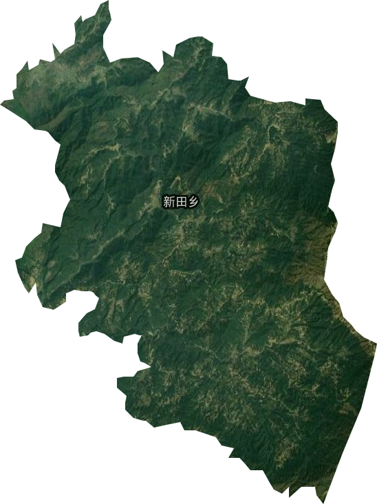 新田乡卫星图