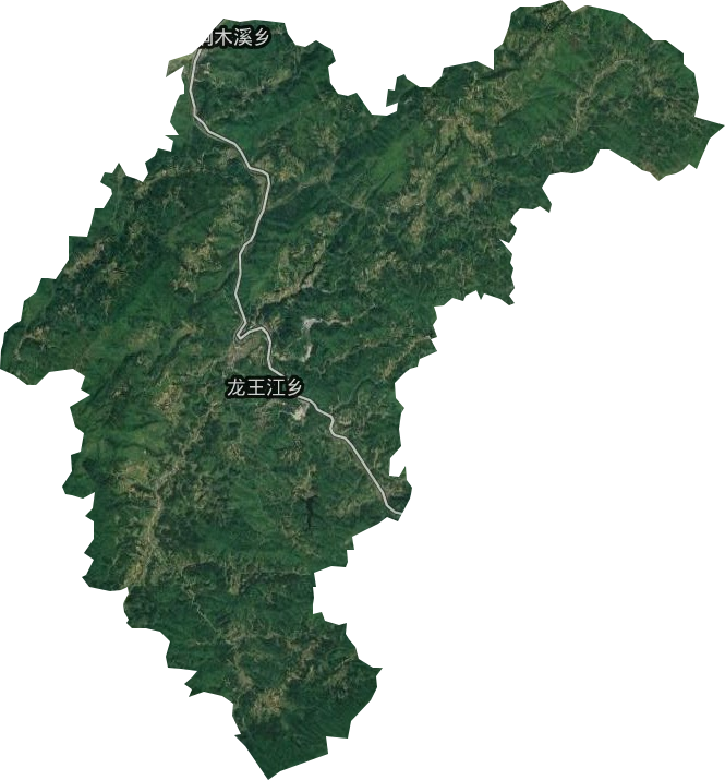 龙王江乡卫星图