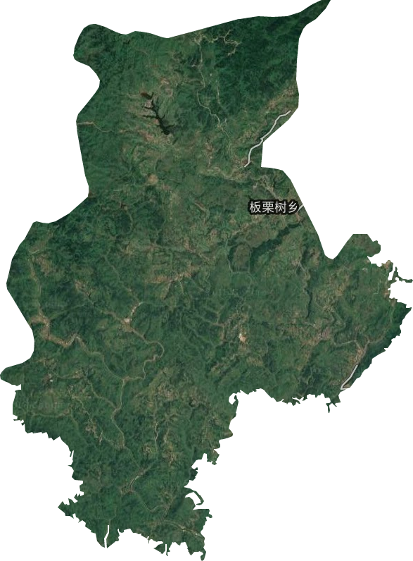 板栗树乡卫星图