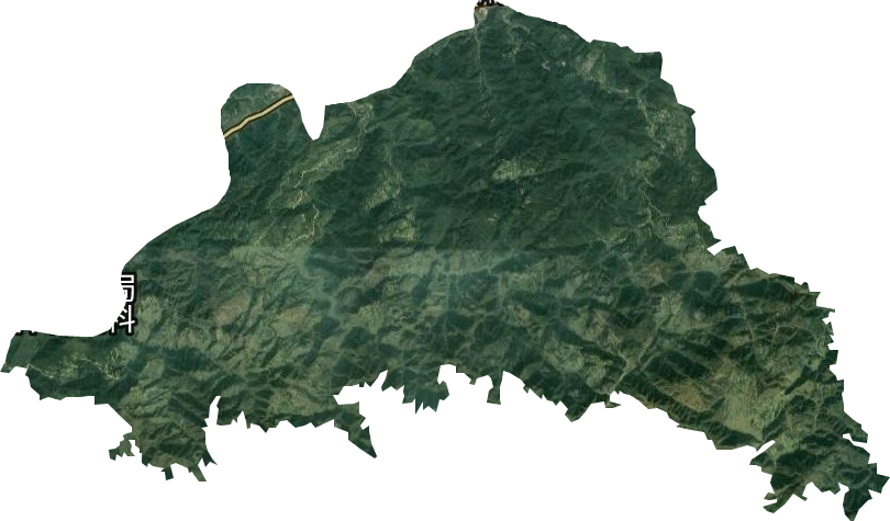 林冲乡卫星图
