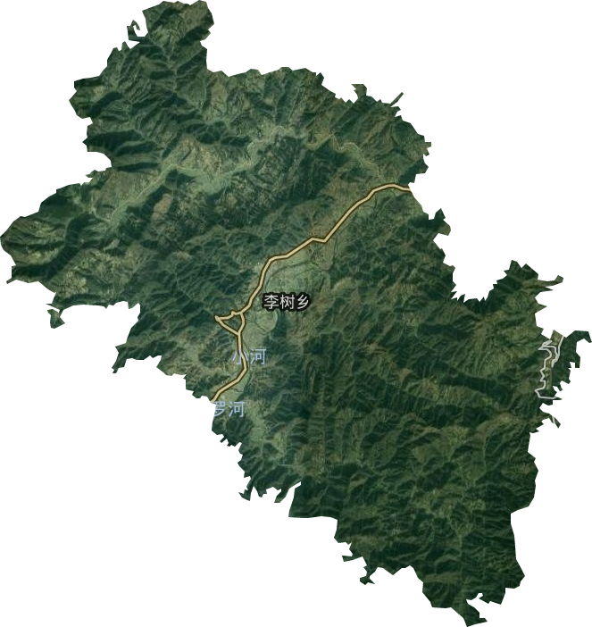 李树乡卫星图