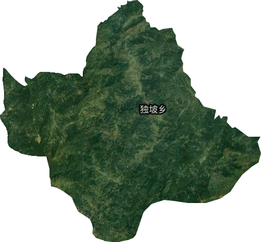 独坡乡卫星图