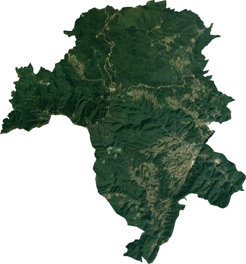 古台山国有林场卫星图