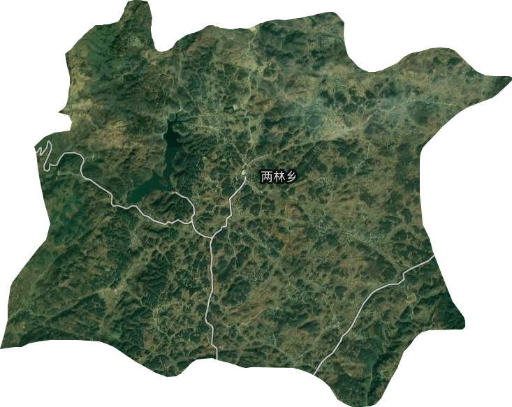 两林乡卫星图