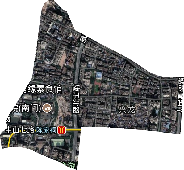 金花街道卫星图