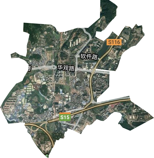 新塘街道卫星图
