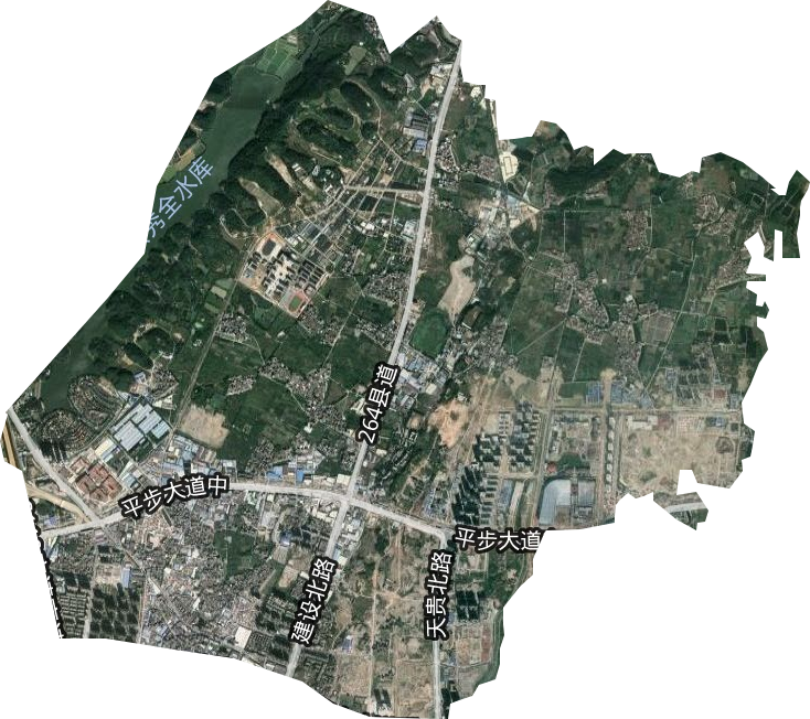 花城街道卫星图