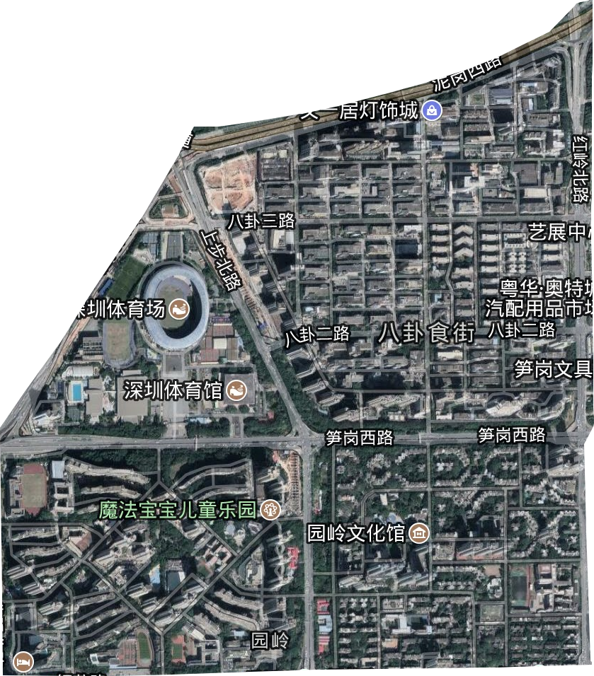 园岭街道卫星图