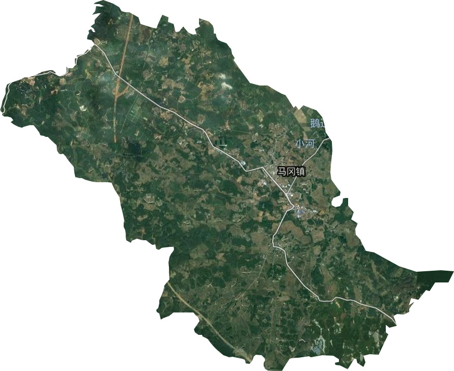 马冈镇卫星图
