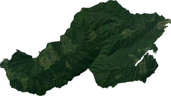 江门市四堡林场卫星图